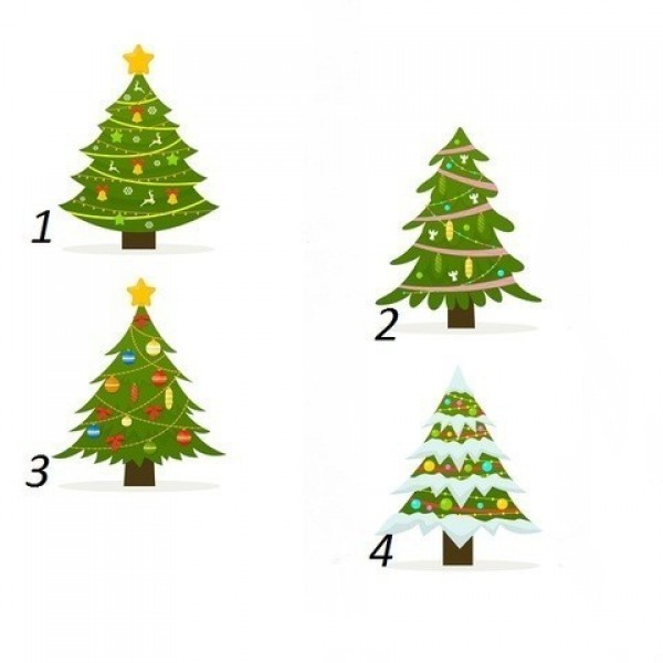 Изберете новогодишна елка и погледнете што ве очекува во 2024 година