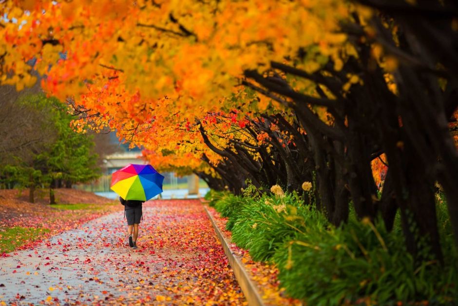7 „правила“ за неверојатна есен