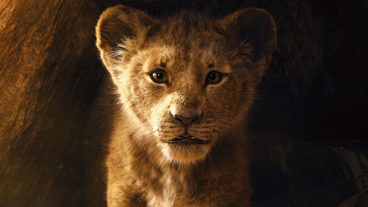 Ова го чекавме 25 години: Снимен е игран филм „Кралот лав“