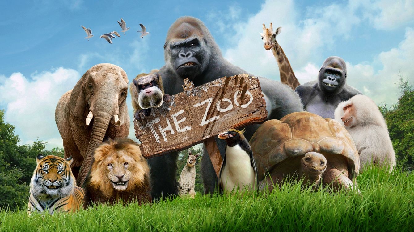 (ГАЛЕРИЈА): Најголемите и најпосетените зоолошки градини во светот
