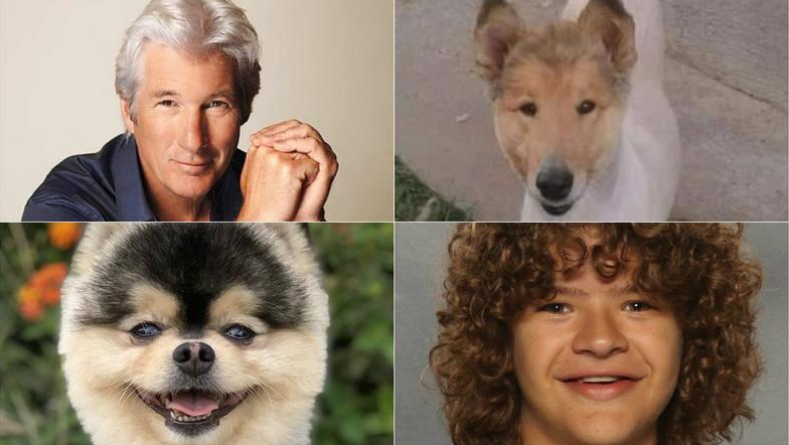 (ФОТО) Кучињата кои изгледаат како познатите актери и пејачи!