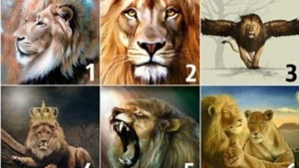 Одбери го лавот кој најмногу ти се допаѓа и откриј каков партнер ти е потребен