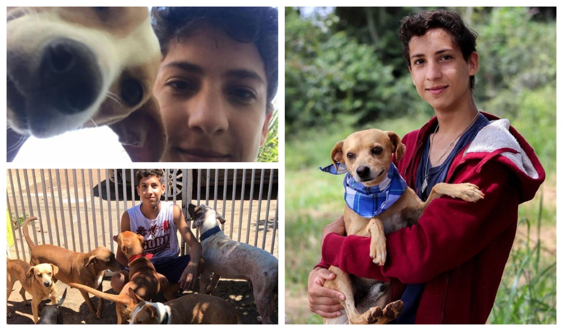 На само 17 години отвори засолниште: „Сакам сите кучиња да имаат дом!“