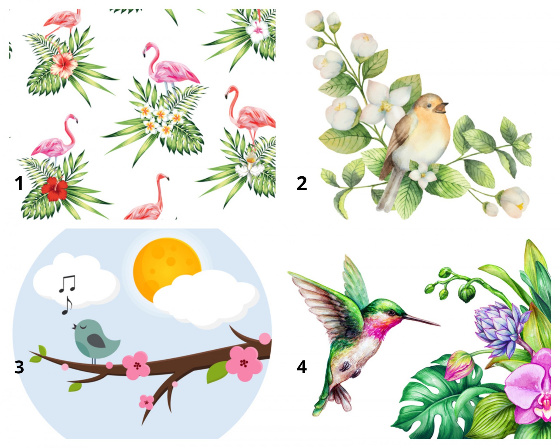 ТЕСТ: Птицата што ви е најпривлечна открива што ве очекува ова лето