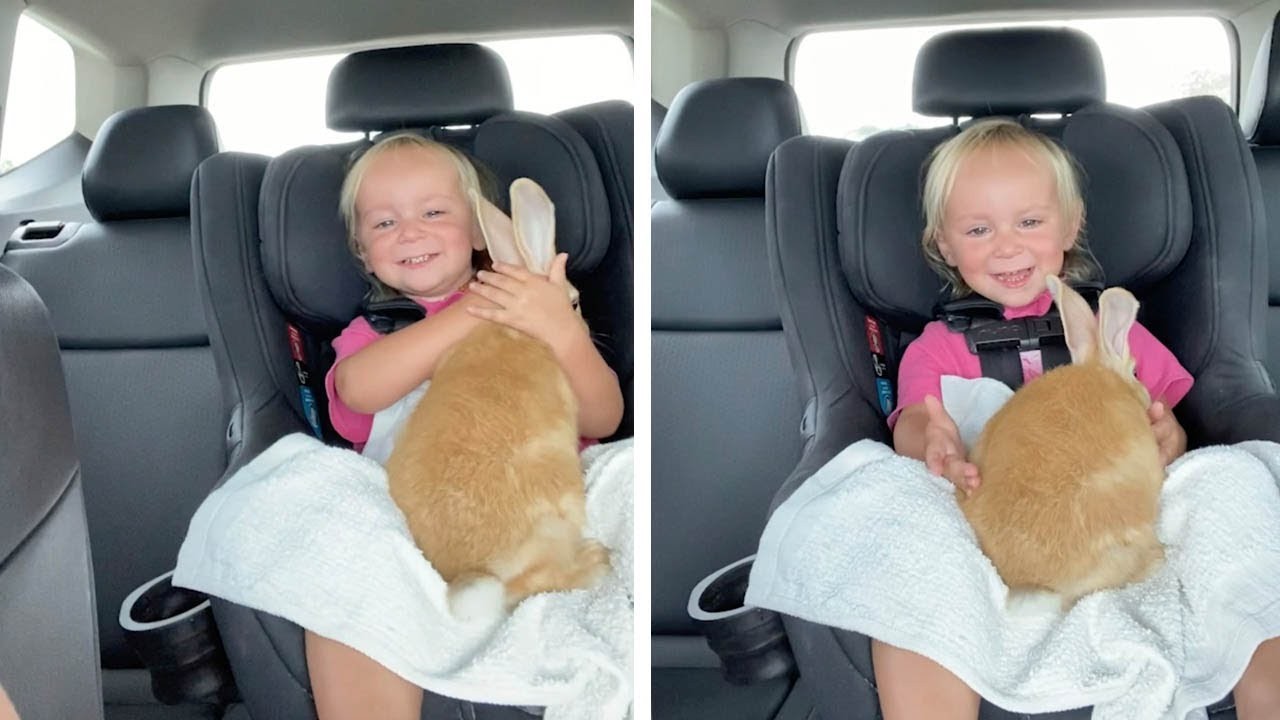 Среќата не познава граници: Реакцијата на мало девојче откако доби ново зајче