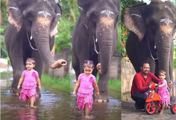 Најдобри пријателки: Двегодишно девојче и слоница стара 35 години ниту на момент не можат една без друга