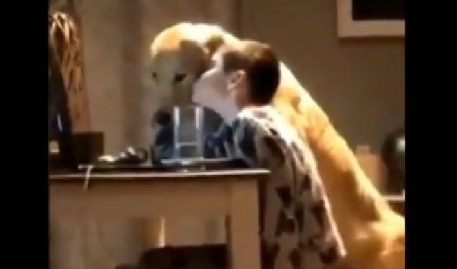 Видео кое го освои Интернетот: Момче и куче седат еден до друг, а потоа...