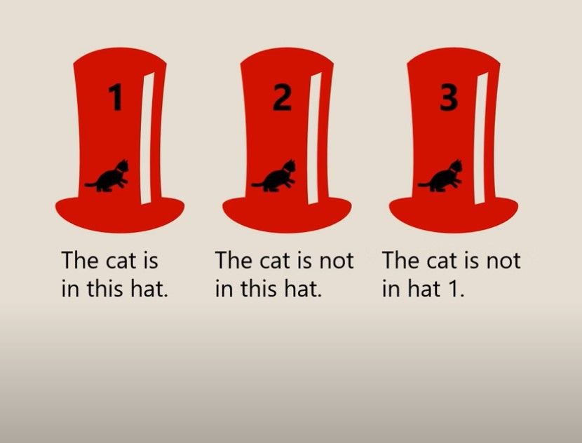 Загатка што може да ја решат само 36% од луѓето: Во која капа има маче?