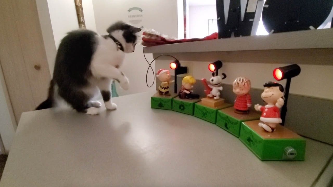 И мачките се радуваат на празничните декорации: Реакцијата на оваа мачка ќе ви каже сѐ
