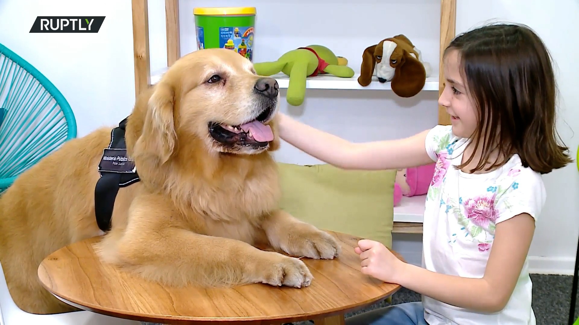 Титан ги брка кошмарите: Ова куче им ја враќа насмевката на децата со тешки животни приказни