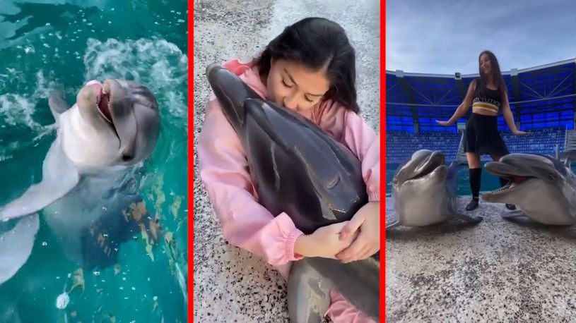 Тие две се сладок тандем: Неочекувано пријателство помеѓу девојка и делфин