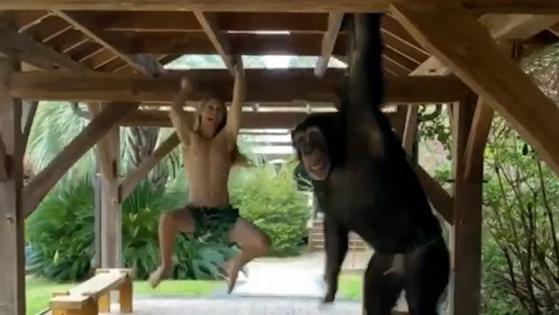 Тој е Тарзан од 21 век: Трка на човек и мајмун, што мислите кој победи?