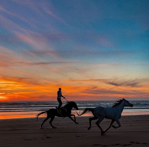Поглед вреден милион долари: Момче јава коњ за време на прекрасно зајдисонце