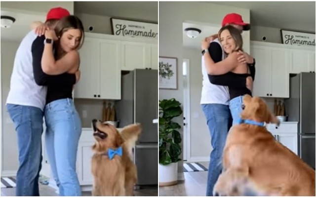 Колку е само љубоморно: Куче има хит реакција кога сопственичката ќе го прегрне сопругот