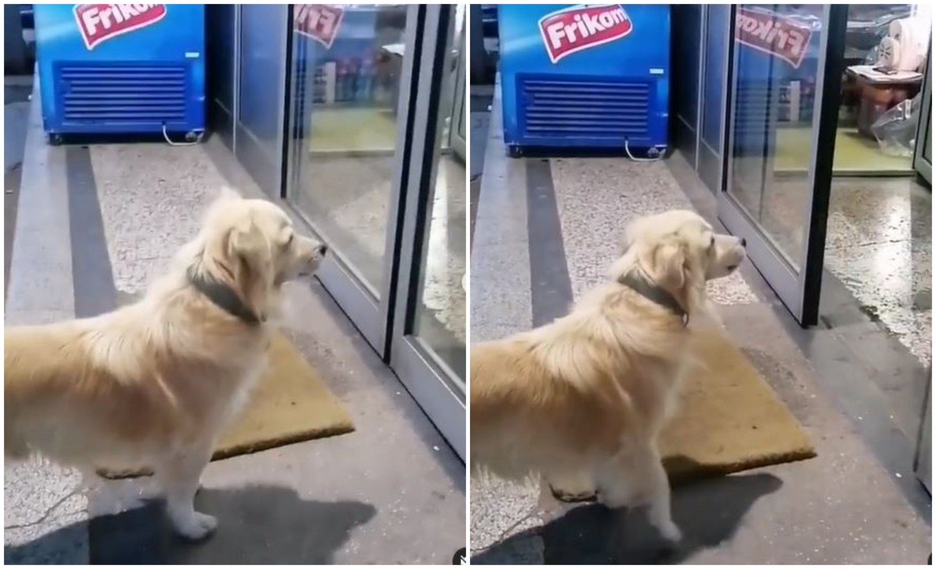 Сцена која ќе ви го скрши срцето: Куче го чека својот сопственик пред вратата од болницата