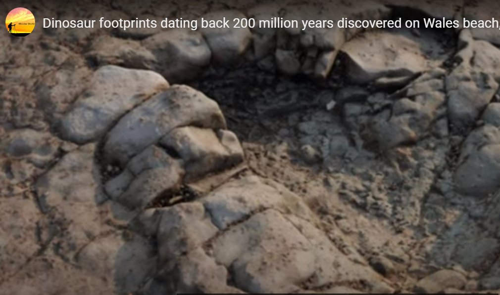 НЕВЕРОЈАТНО: На плажа во Велс најдени отпечатоци од стапала на диносаурус-стари се 200 милиони години