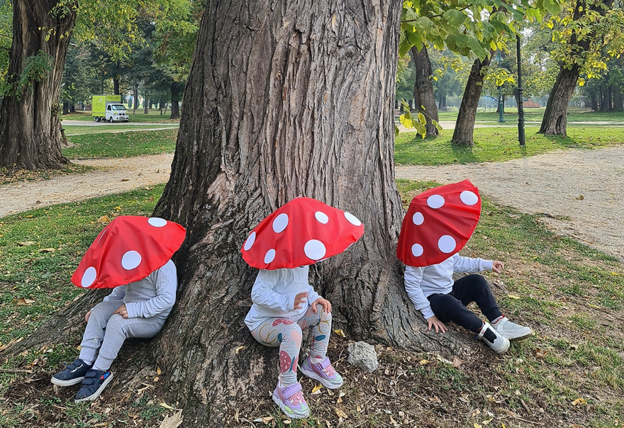 Еден куп есенски печурки никнаа во Градски парк Скопје (ФОТО)