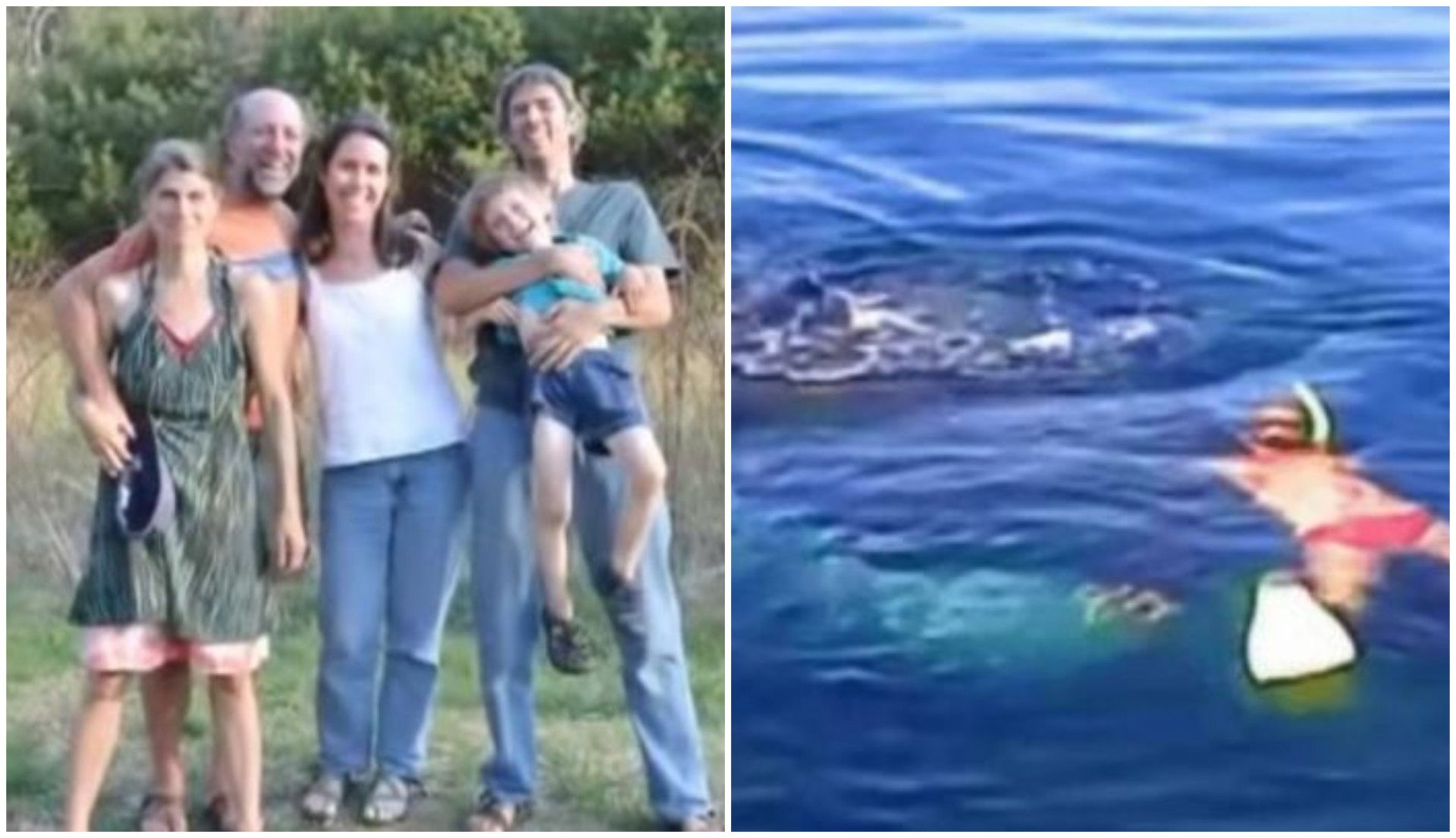 Семејство ослободи заробен кит, а тој им се заблагодари на прекрасен начин