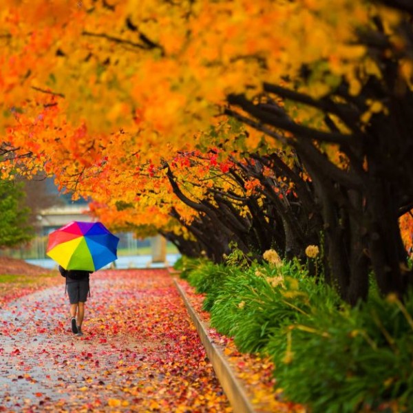 7 „правила“ за неверојатна есен