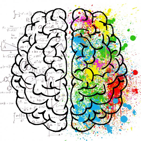 ТЕСТ: Која страна од мозокот повеќе ја користиш, левата или десната?