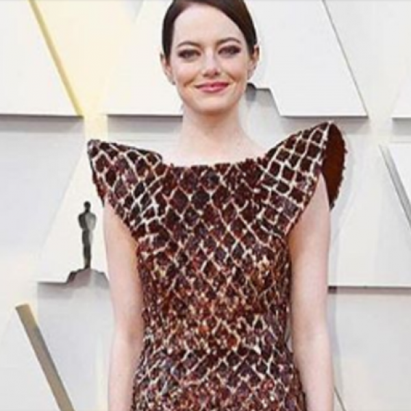 Фустанот на Emma Stone од Оскарите е на тапет кај твитерџиите: Ова се најурнебесните мемиња!