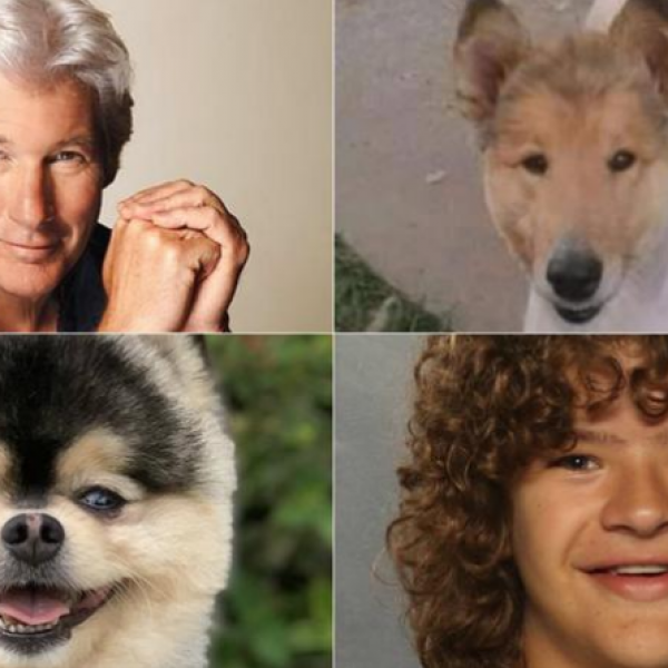 (ФОТО) Кучињата кои изгледаат како познатите актери и пејачи!