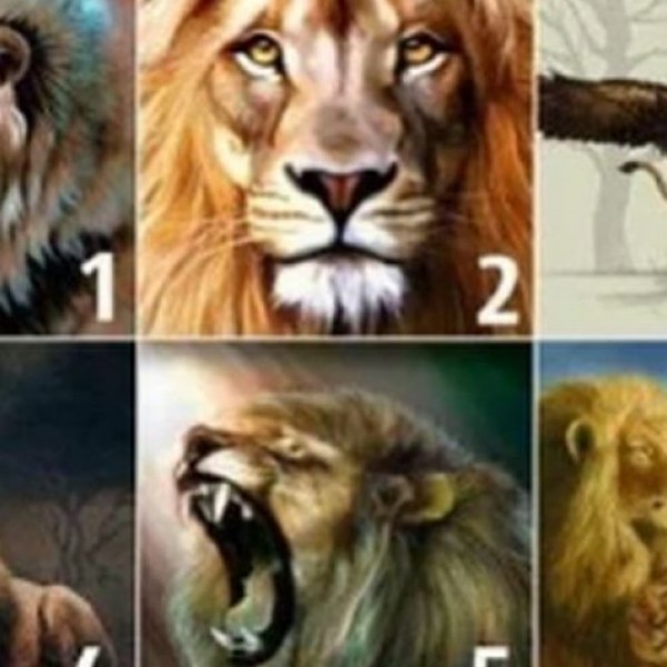 Одбери го лавот кој најмногу ти се допаѓа и откриј каков партнер ти е потребен