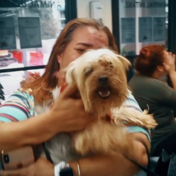 Се сретнаа по 3 години: Со солзи во очите Вероника го прегрна своето изгубено куче