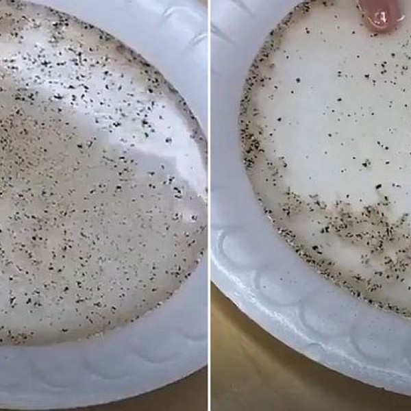 Што му прави сапунот на вирусот: По ова видео почесто ќе ги миете рацете