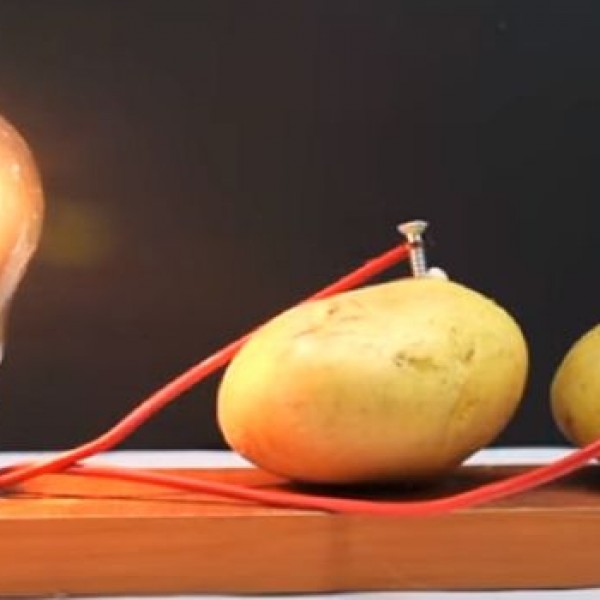 DIY: Направете си светилка со помош на обичен компир