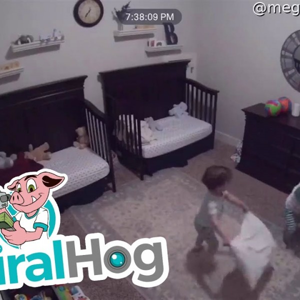Го воодушевија светот: Видеото од тригодишните близнаци во карантин стана вирално