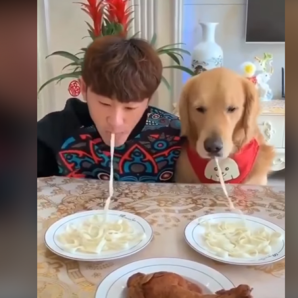 Натпревар во брзо јадење: Кој ќе победи - сопственикот или кучето?