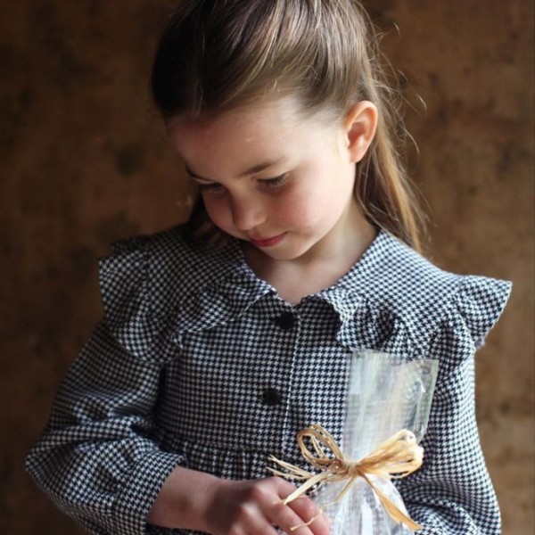 Слатката мала принцеза: Наместо роденден, доставуваше храна за пензионерите