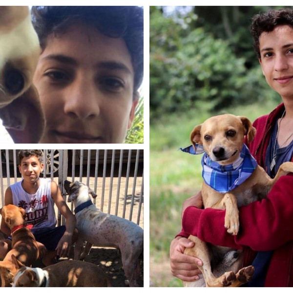 На само 17 години отвори засолниште: „Сакам сите кучиња да имаат дом!“