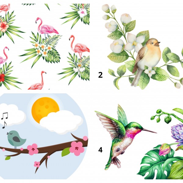 ТЕСТ: Птицата што ви е најпривлечна открива што ве очекува ова лето