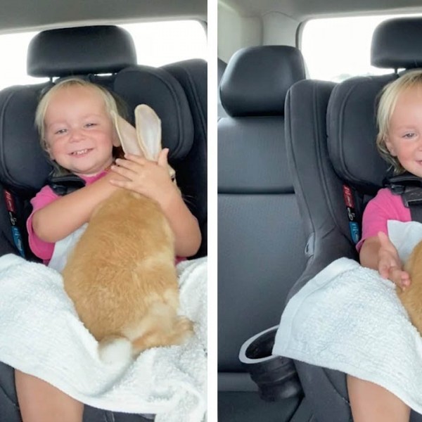 Среќата не познава граници: Реакцијата на мало девојче откако доби ново зајче