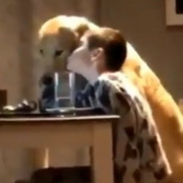 Видео кое го освои Интернетот: Момче и куче седат еден до друг, а потоа...