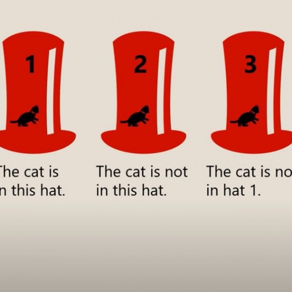 Загатка што може да ја решат само 36% од луѓето: Во која капа има маче?