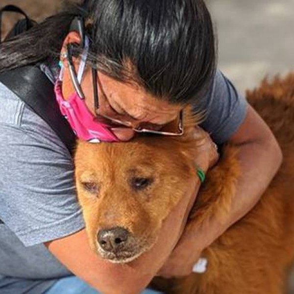 Повторно заедно: Седум години го барала своето изгубено куче, не се откажала ниту во еден момент