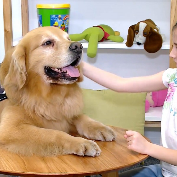 Титан ги брка кошмарите: Ова куче им ја враќа насмевката на децата со тешки животни приказни