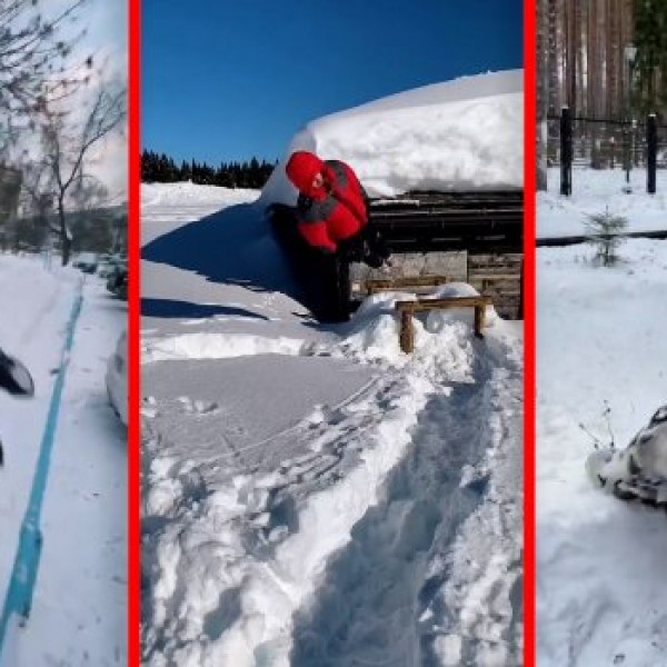 Масовно скокање во длабок снег: Не се знае кој повеќе ужива - луѓето или животните