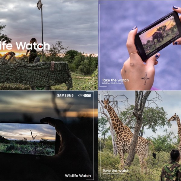 Станете виртуелен ренџер и учествувајте во зачувување на загрозени животински видови во африканската савана