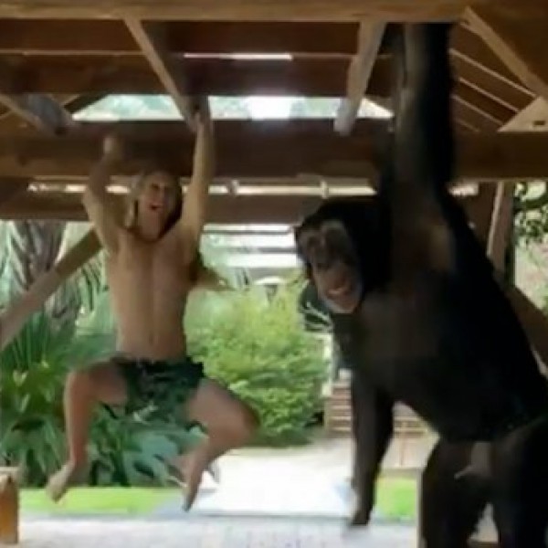 Тој е Тарзан од 21 век: Трка на човек и мајмун, што мислите кој победи?