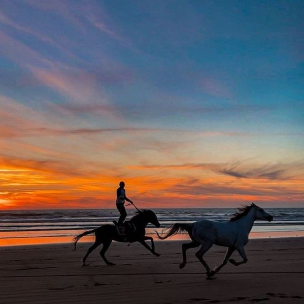 Поглед вреден милион долари: Момче јава коњ за време на прекрасно зајдисонце