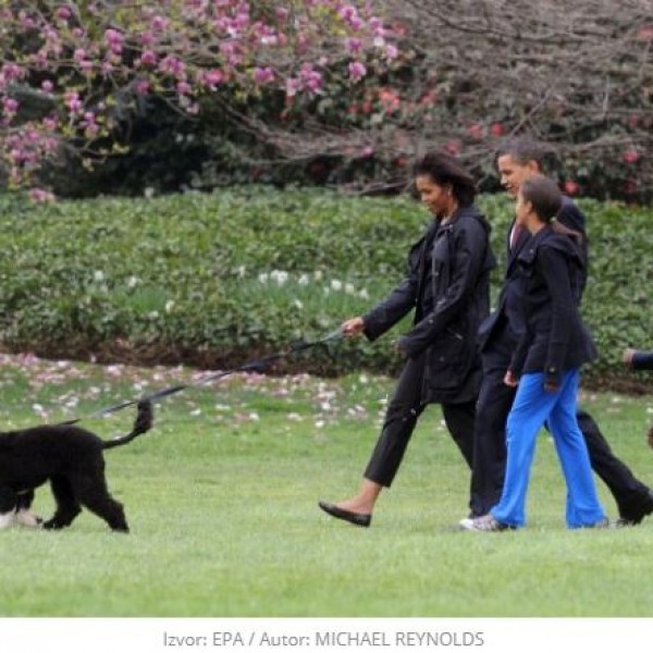 Нашето семејство изгуби верен пријател: Барак Обама се прости од Бо, кучето кое живееше во Белата куќа скоро 8 години