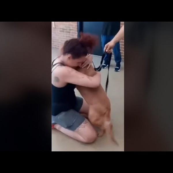 Емотивна средба на жена со куче: По две години трагање, конечно го пронашла својот миленик