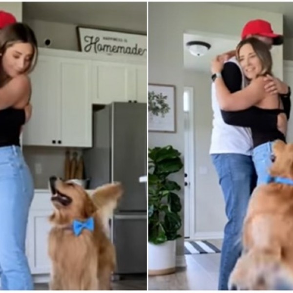 Колку е само љубоморно: Куче има хит реакција кога сопственичката ќе го прегрне сопругот