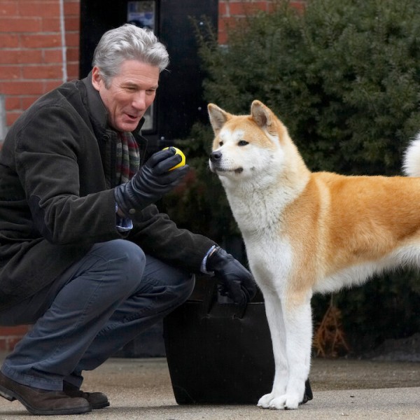 Верното куче кое 9 години на станица го чекало покојниот сопственик: Како изгледало вистинското Хачико?