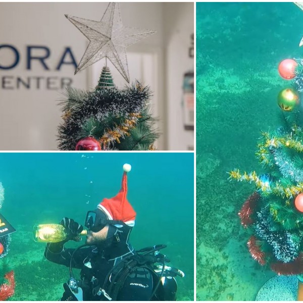 Традицијата продолжува: Новогодишна елка под вода 2022