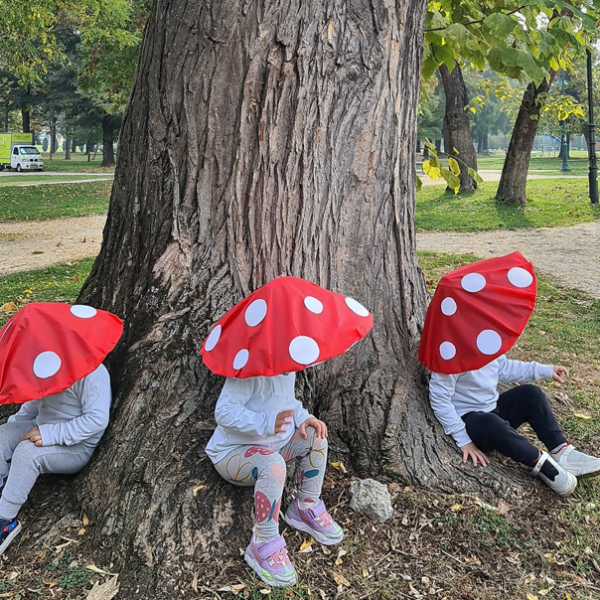 Еден куп есенски печурки никнаа во Градски парк Скопје (ФОТО)